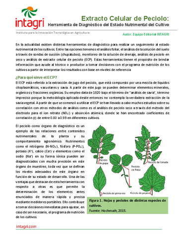Extracto-Celular-de-Peciolo.pdf