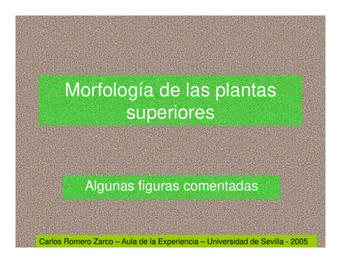 Morfologia-de-las-plantas-superiores.pdf