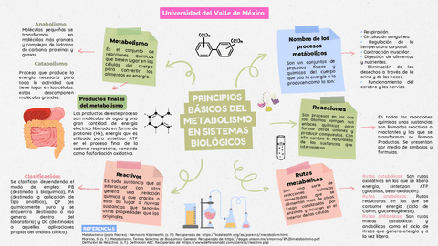 Mapa-mental-Metabolismo.pdf