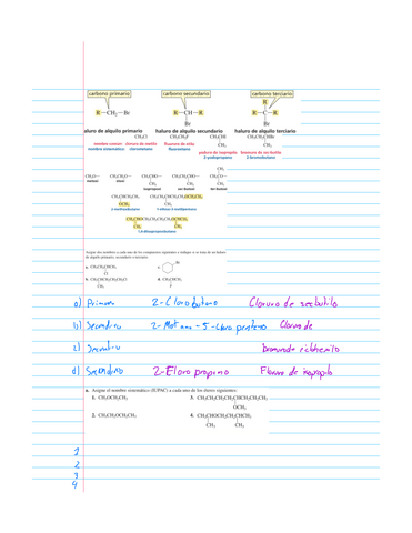 Clase-5.pdf