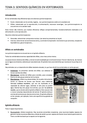 3.-SENTIDOS-QUIMICOS-EN-VERTEBRADOS.pdf