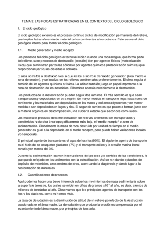 TEMA 3.pdf