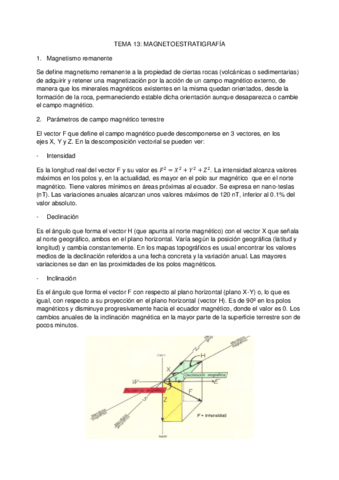 TEMA 13.pdf