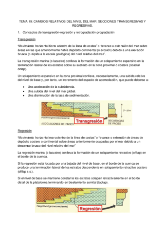 TEMA 19.pdf