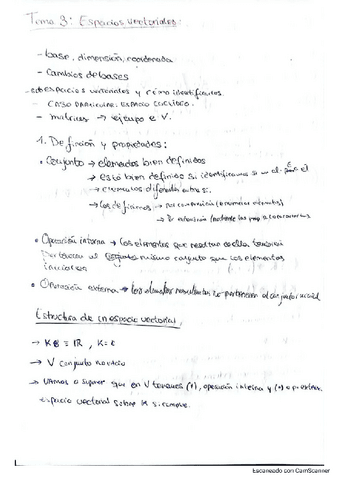 TEMA-3-ESPACIOS-VECTORIALES.pdf