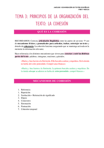 TEMA-3-PRINCIPIOS-DE-LA-ORGANIZACION-DEL-TEXTO-LA-COHESION.pdf