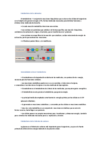 Metabolismo-de-los-alimentos.pdf