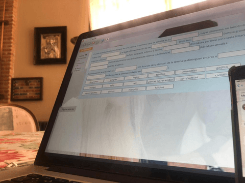 FOTOS-PARCIAL-2-BOTANICA.pdf