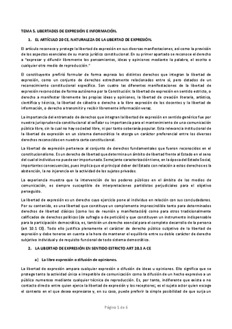 TEMA-5-CONSTI-III.pdf