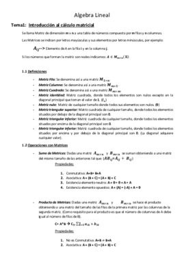 Resumen Completo Algebra.pdf