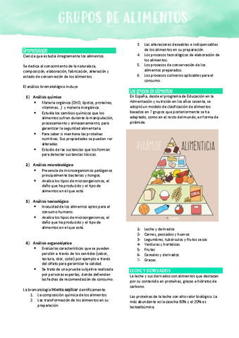 T6 Grupos De Alimentos Pdf