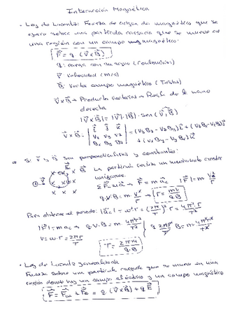 Interaccion-Magnetica.pdf