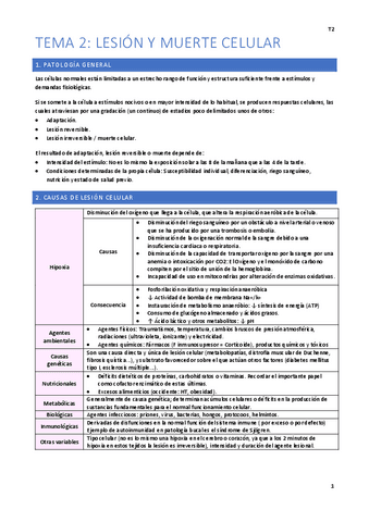 Tema-2-Facil.pdf