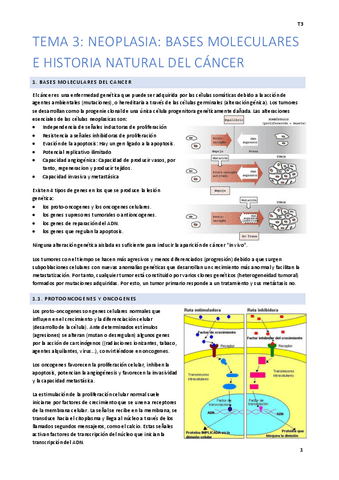 Tema-3-Facil.pdf