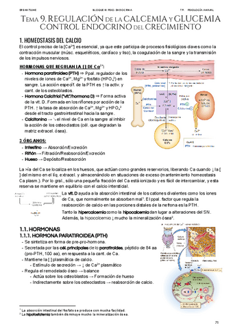 Tema-9-Control-endocrino.pdf