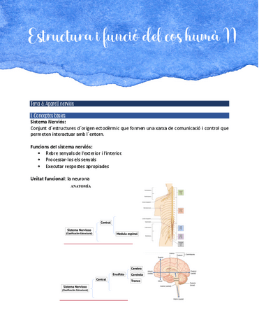 Aparell-nervios-pdf.pdf