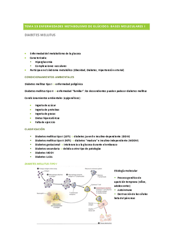 Tema-13-Enfermedades-metabolismo-de-glucidos-I.pdf
