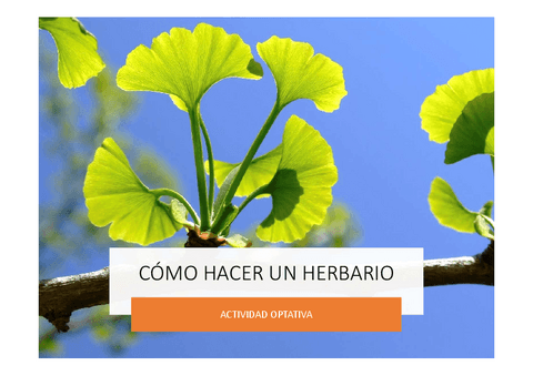 como-hacer-un-herbario.pdf