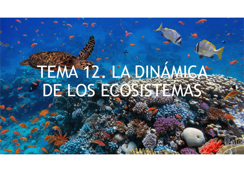 Tema-12-apartados-1-y-2.pdf