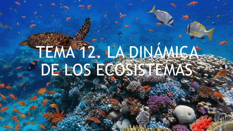 Tema-12-apartado-3.pdf