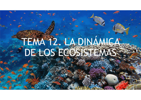 Tema-12-apartados-4.pdf