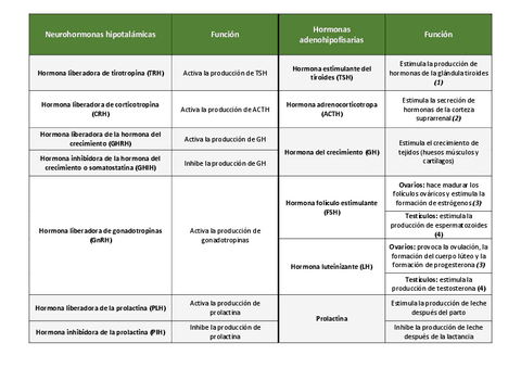 Cuadro-resumen-hormonas-principales-biologia.pdf
