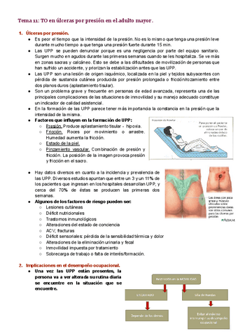 Tema-11.pdf
