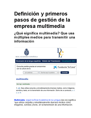 Definicion-y-primeros-pasos-empresa-multimedia.pdf