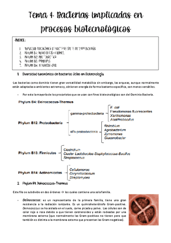 tema-4-biotec-microbiana.pdf