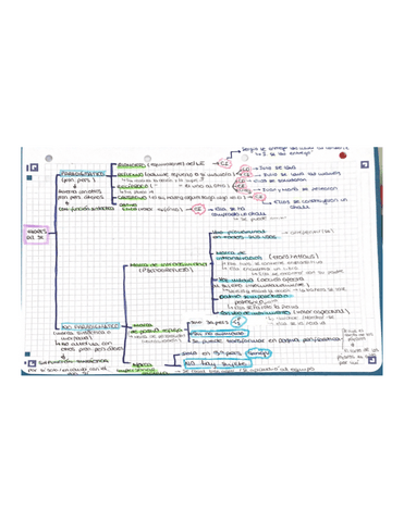 valores-del-se.pdf