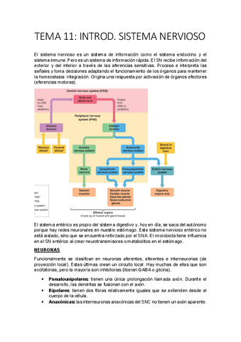 TEMA-11-14-VISTA.pdf