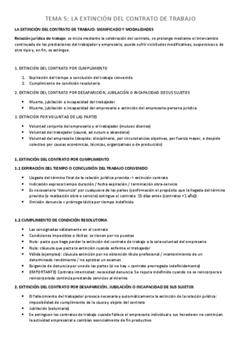 Derecho-laboral-Tema-5.pdf