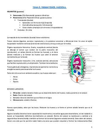 t9-parasitologia.pdf