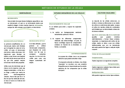 METODOS-DE-ESTUDIOS-DE-LA-CELULA.pdf