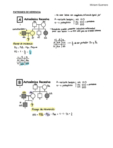 Patrones-de-Herencia-Bloque-1.pdf