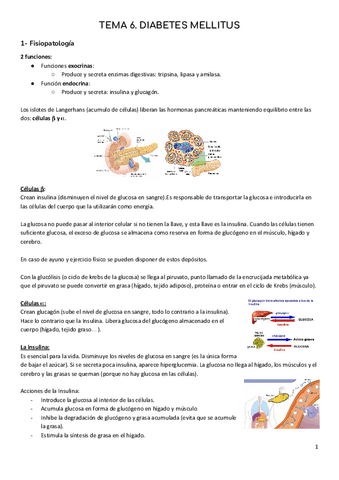 B2-T6.-Diabetes-Mellitus.pdf