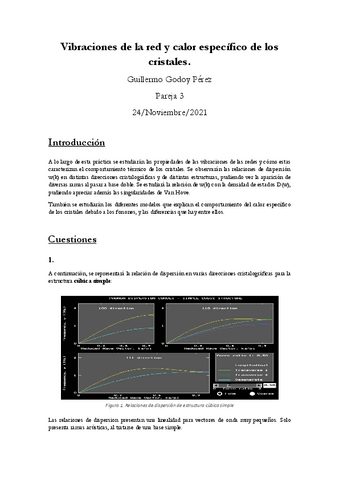 Informe-Vibraciones-de-la-red.pdf