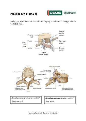 Practica-no-4-resultados.pdf