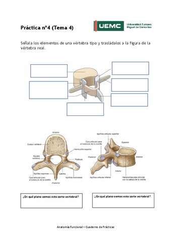 Practica-no-4.pdf