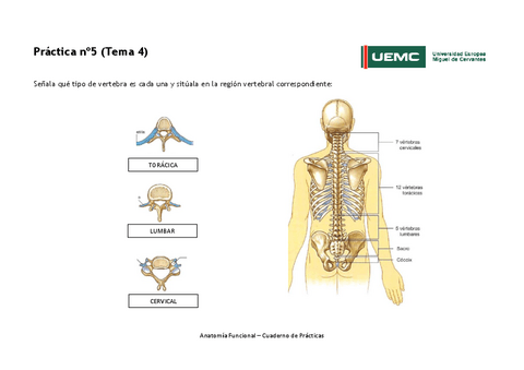 Practica-no-5-resultados.pdf