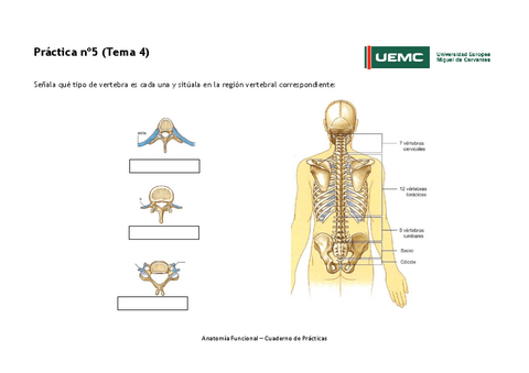 Practica-no-5.pdf