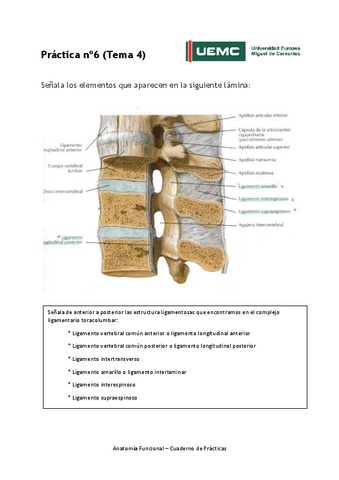 Practica-no-6-resultados.pdf