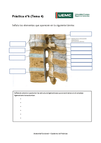 Practica-no-6.pdf