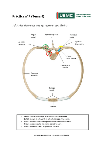Practica-no-7-resultados.pdf