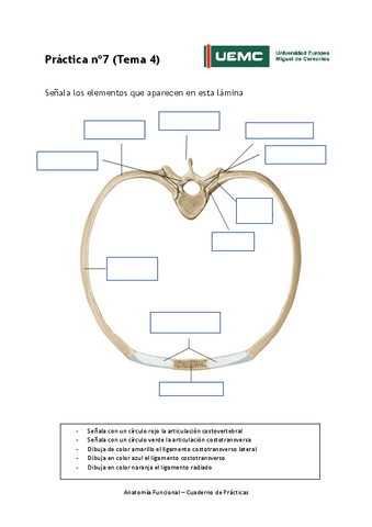 Practica-no-7.pdf