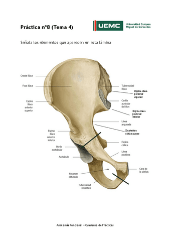 Practica-no-8-resultados.pdf
