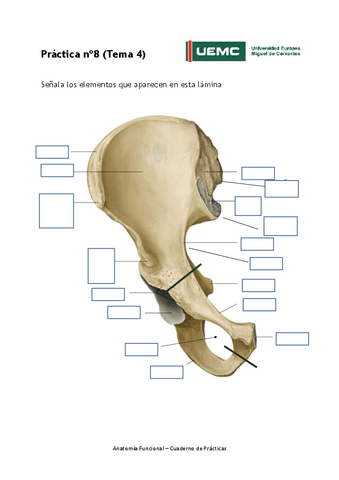 Practica-no-8.pdf