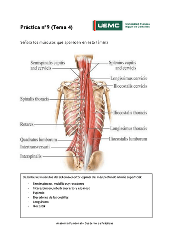 Practica-no-9-resultados.pdf