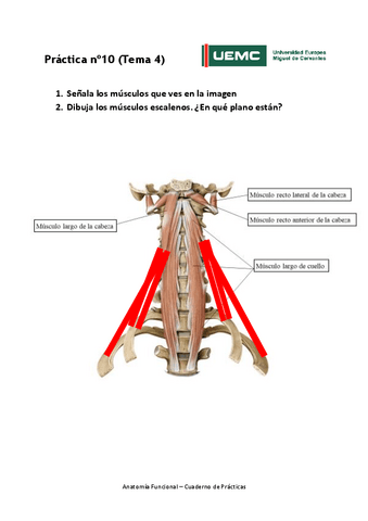 Practica-no-10-resultados.pdf