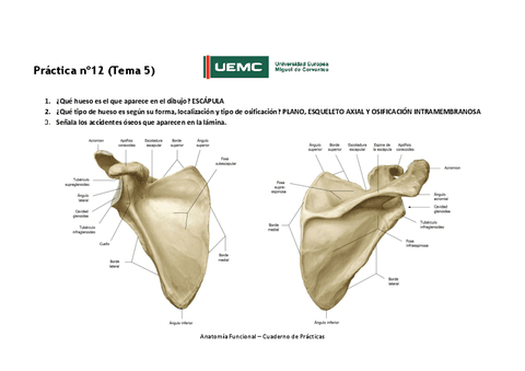 Practica-no-12-resultados.pdf